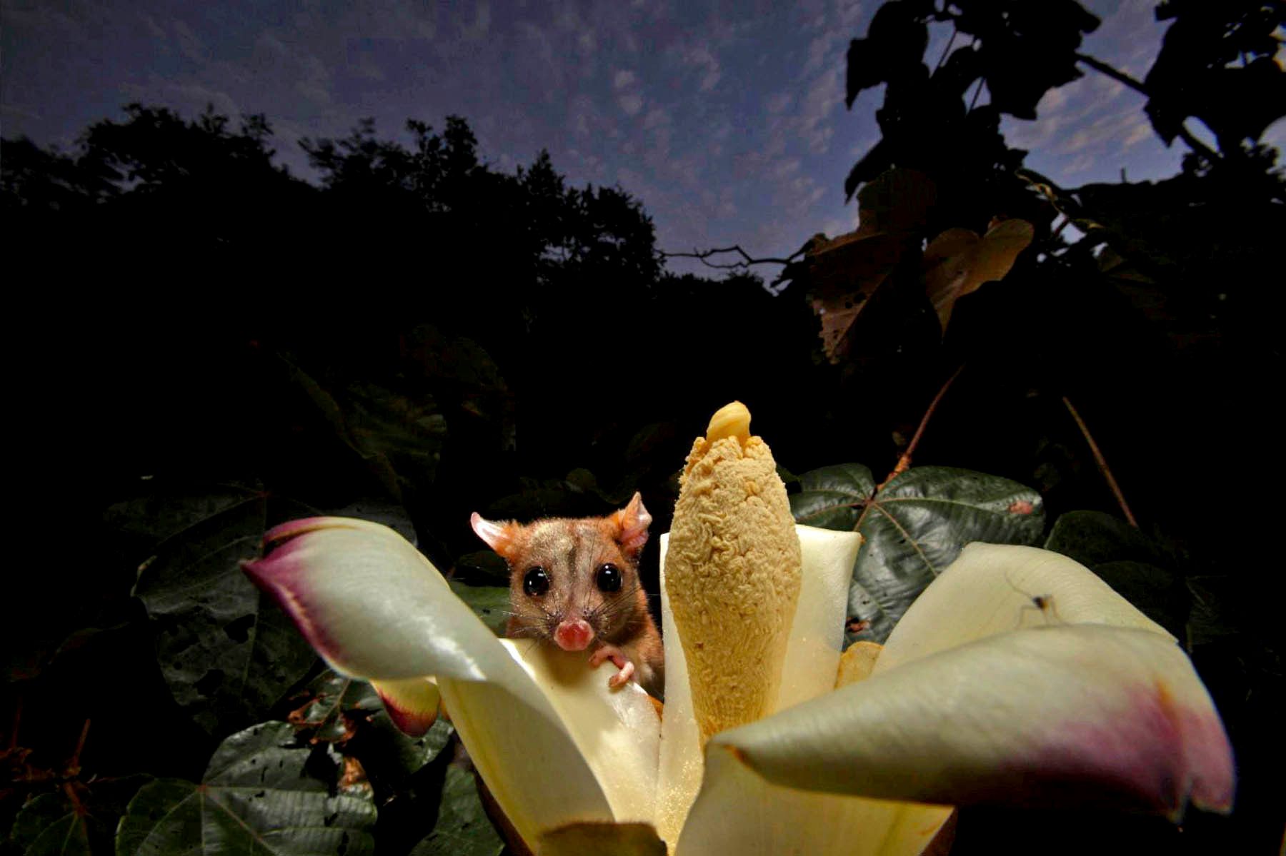 1mm7777_100108_10624