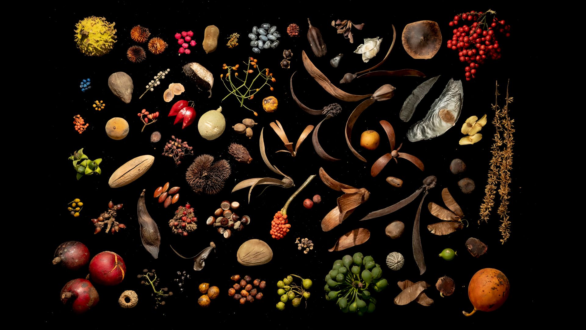 2023 biodiversity Borneo 16-9.jpg