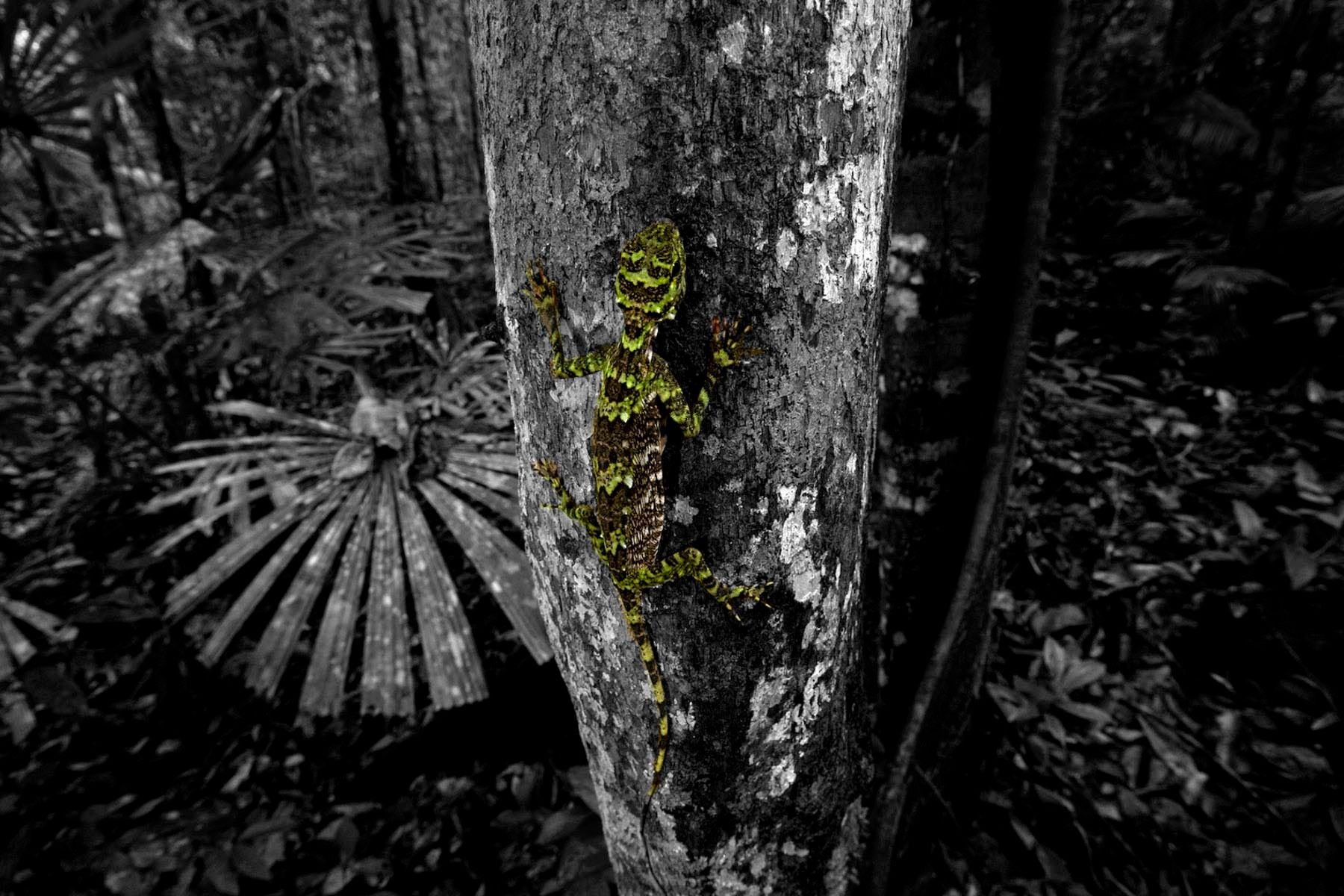 1r22_ziegler_christian22