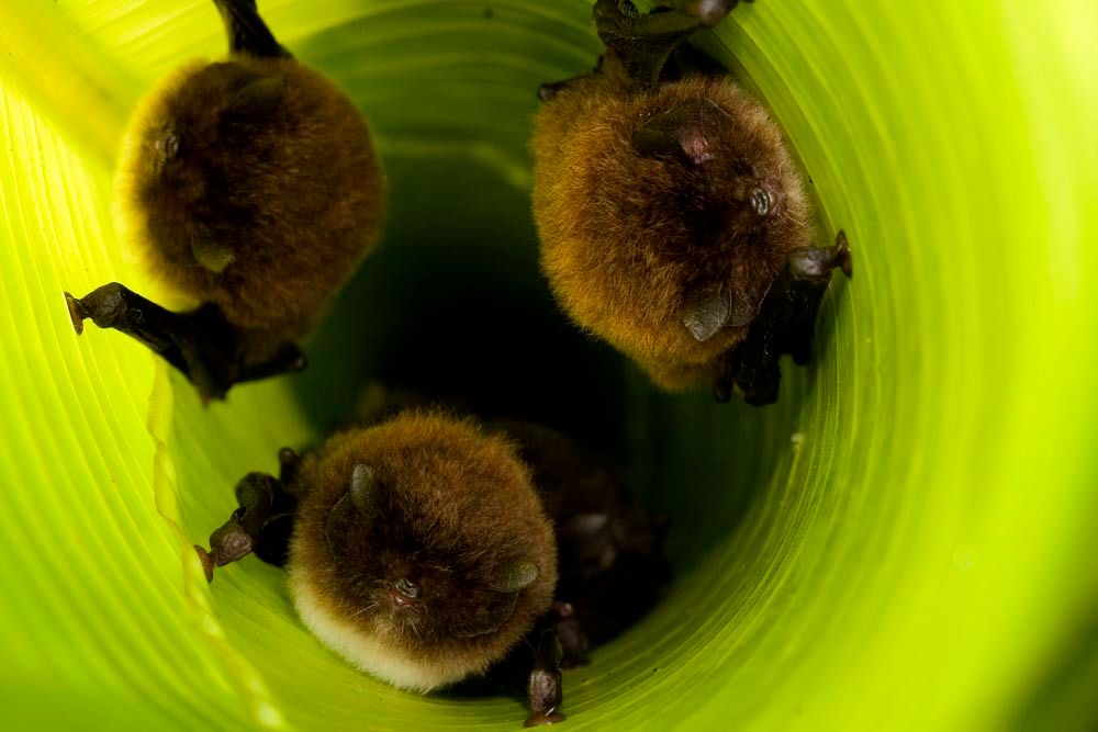 1r23_mm7355_060716_18542