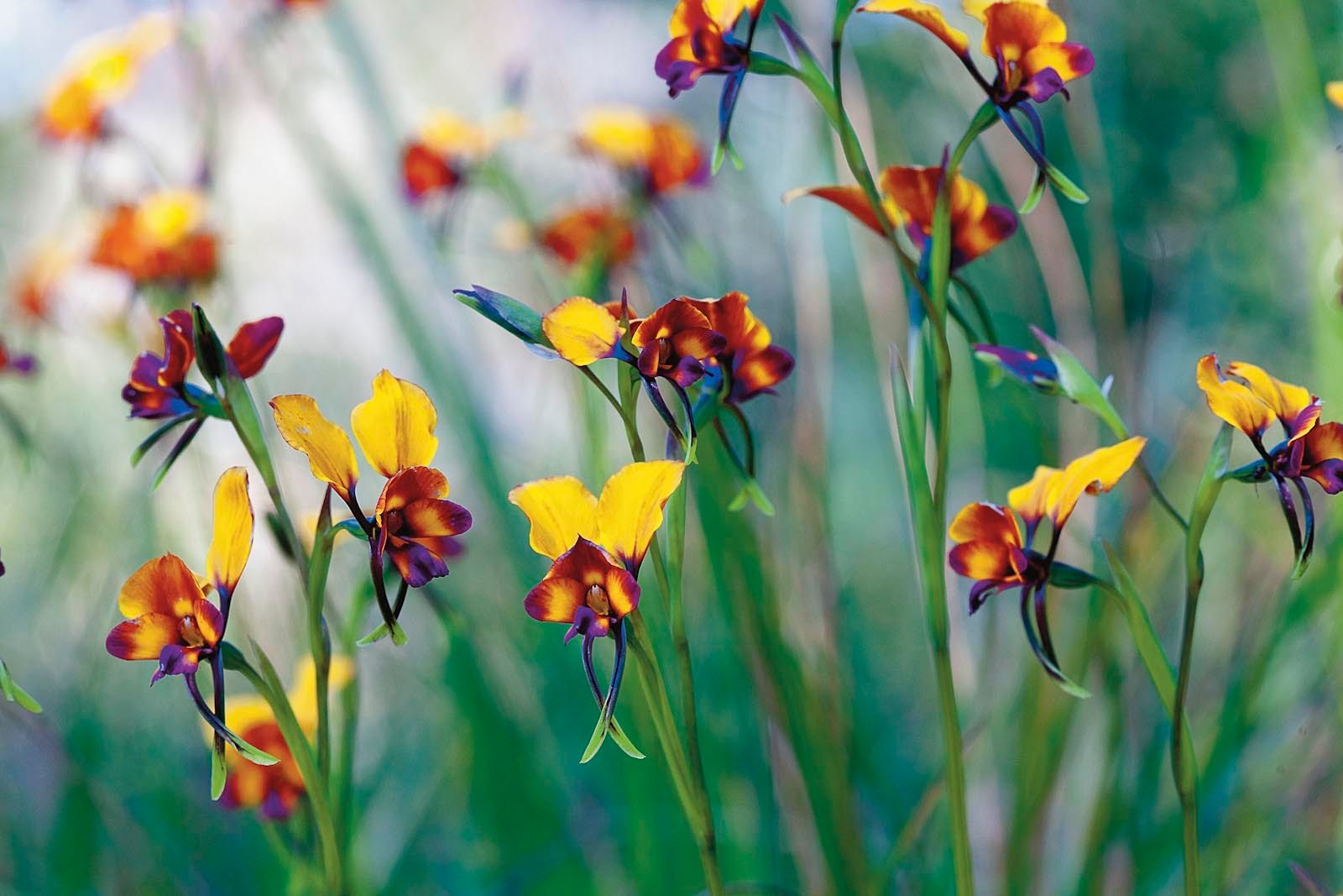 1mm7607_080908_23953r3