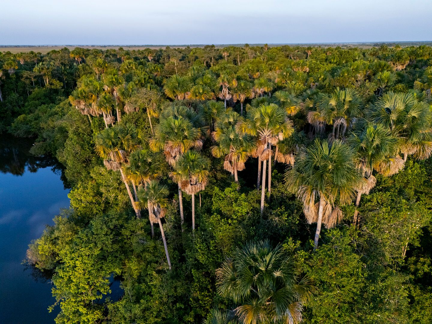 DJI_20250108171941_0252_D-140-157.jpg