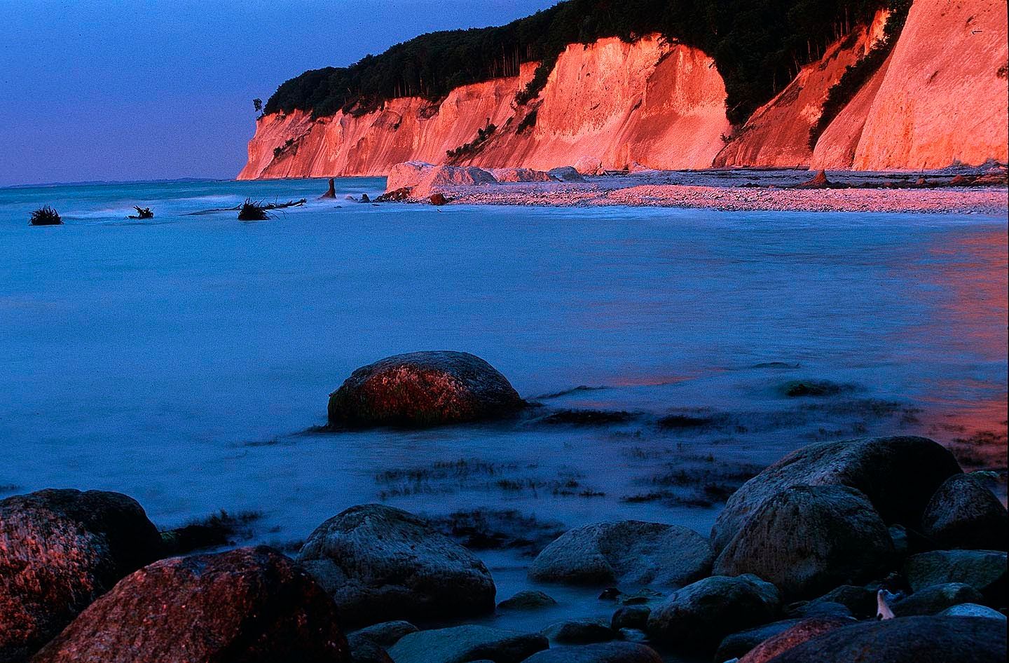 Jasmund - a beech forest through the seasons