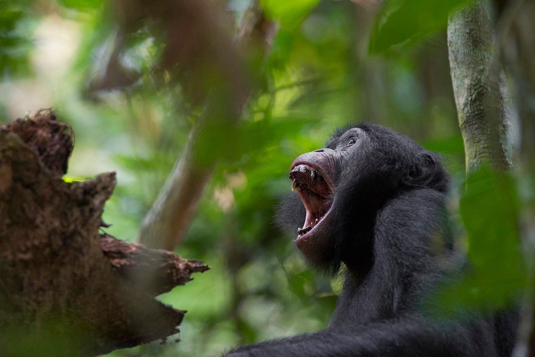 1r19_12_mm7994_110629_62074