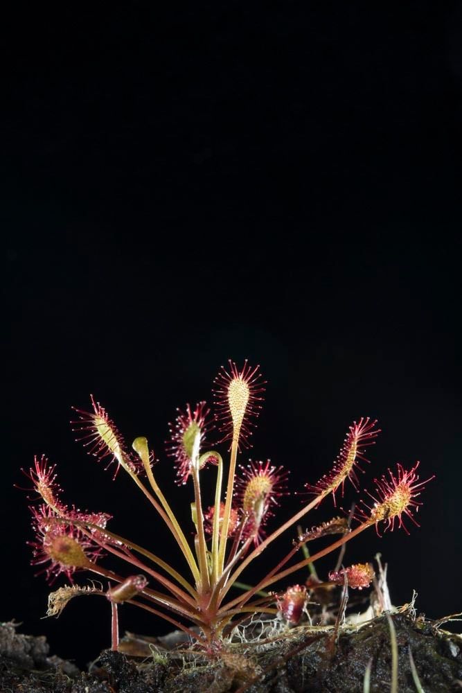 1r24_17_ncm13011_130606_4007