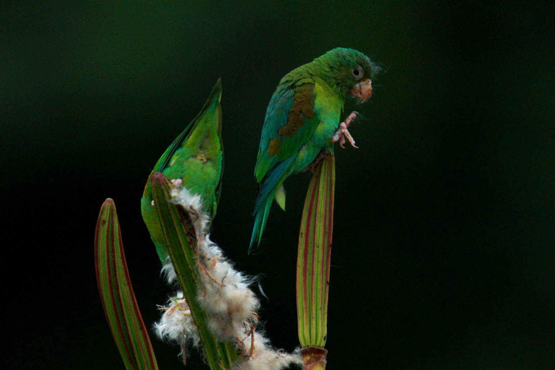 1mm7777_100309_38324