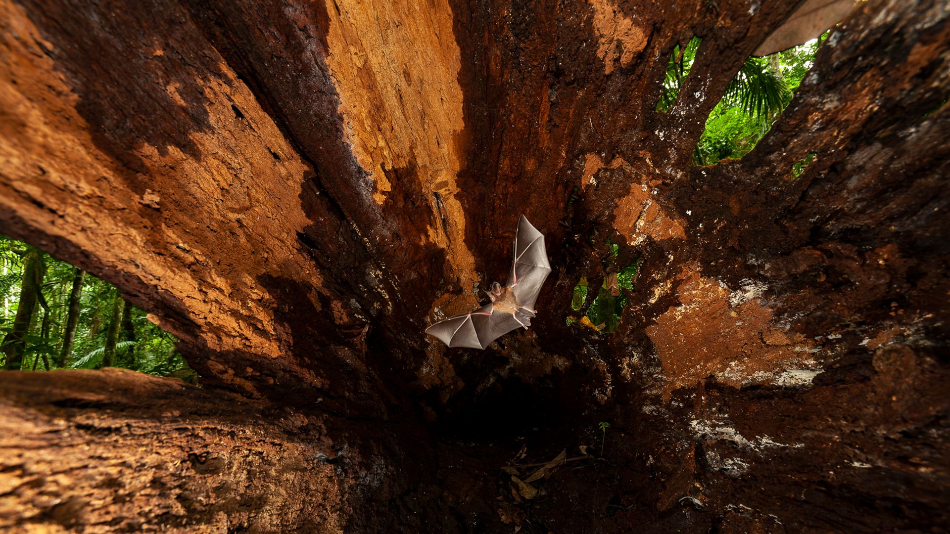 154_MM7355_060624_17215-CR2_DxO_DeepPRIM E_II final.jpg