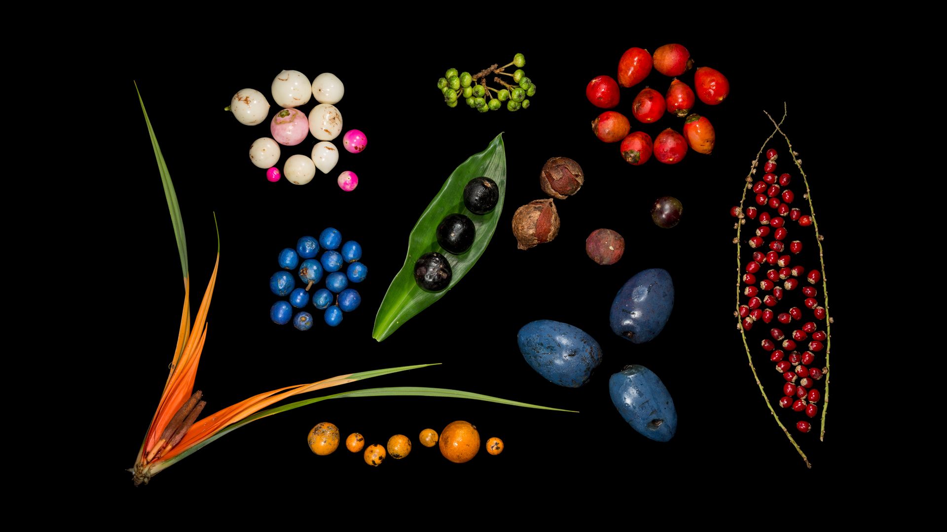 MM7817-39726 for 16-9.jpg