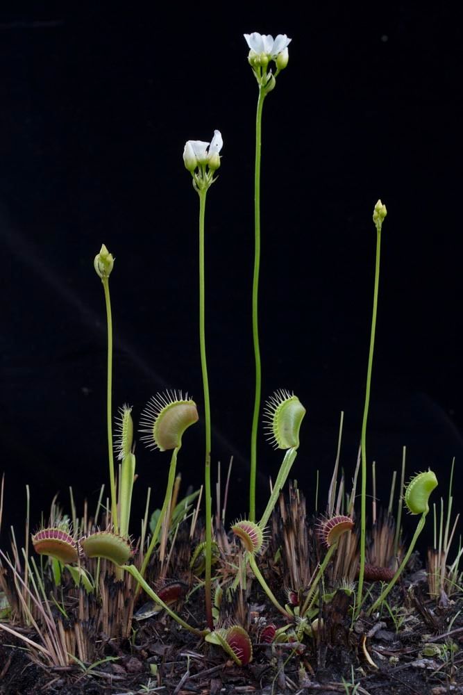 1r23_16_ncm13011_130605_1631