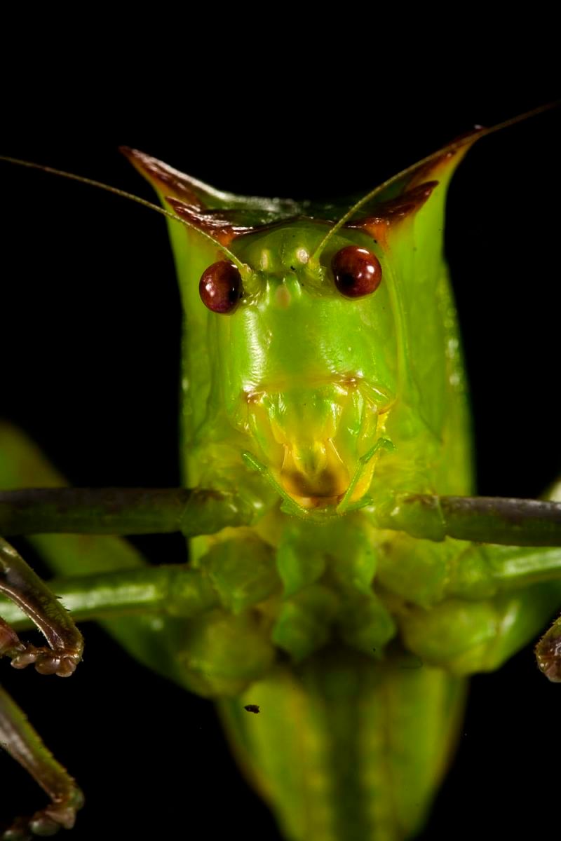 1r12_mm7355_060302_2730