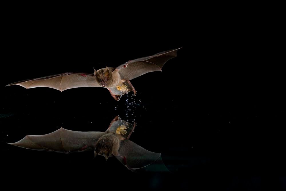 1r10_mm7355_060309_3797