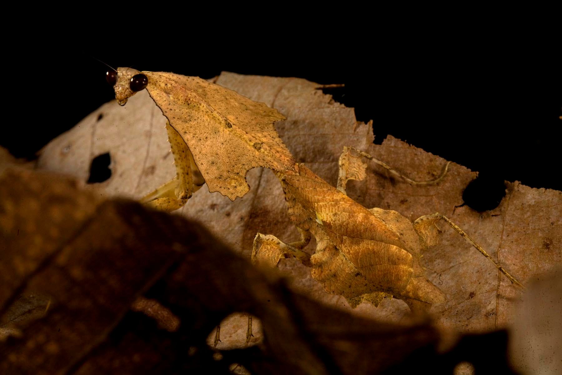 109_ziegler_christian09