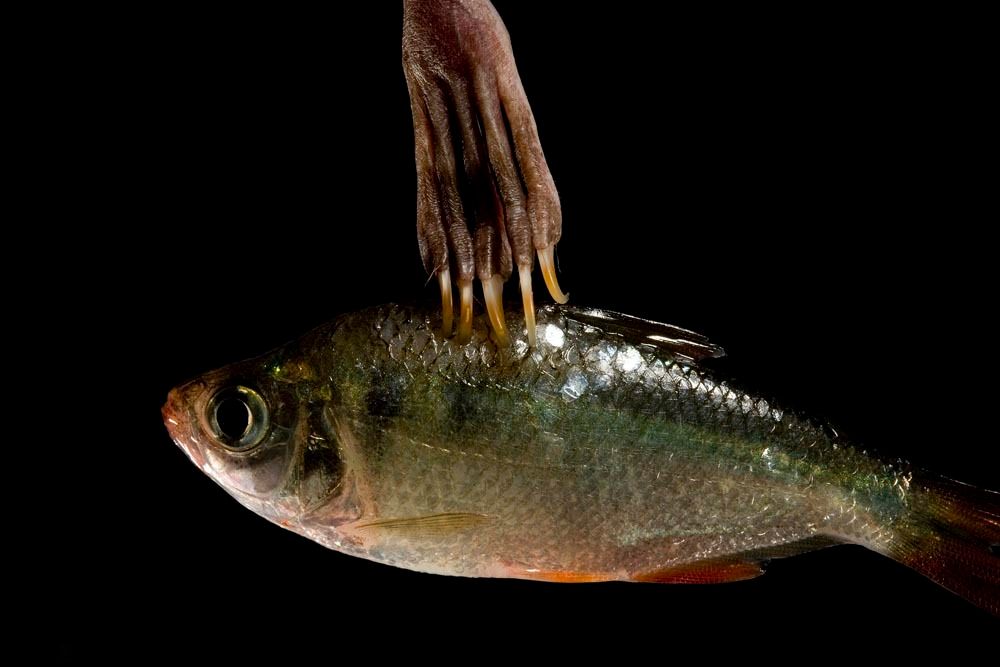 1r17_mm7355_060303_3054