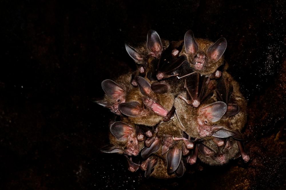 1r24_mm7355_060801_16152