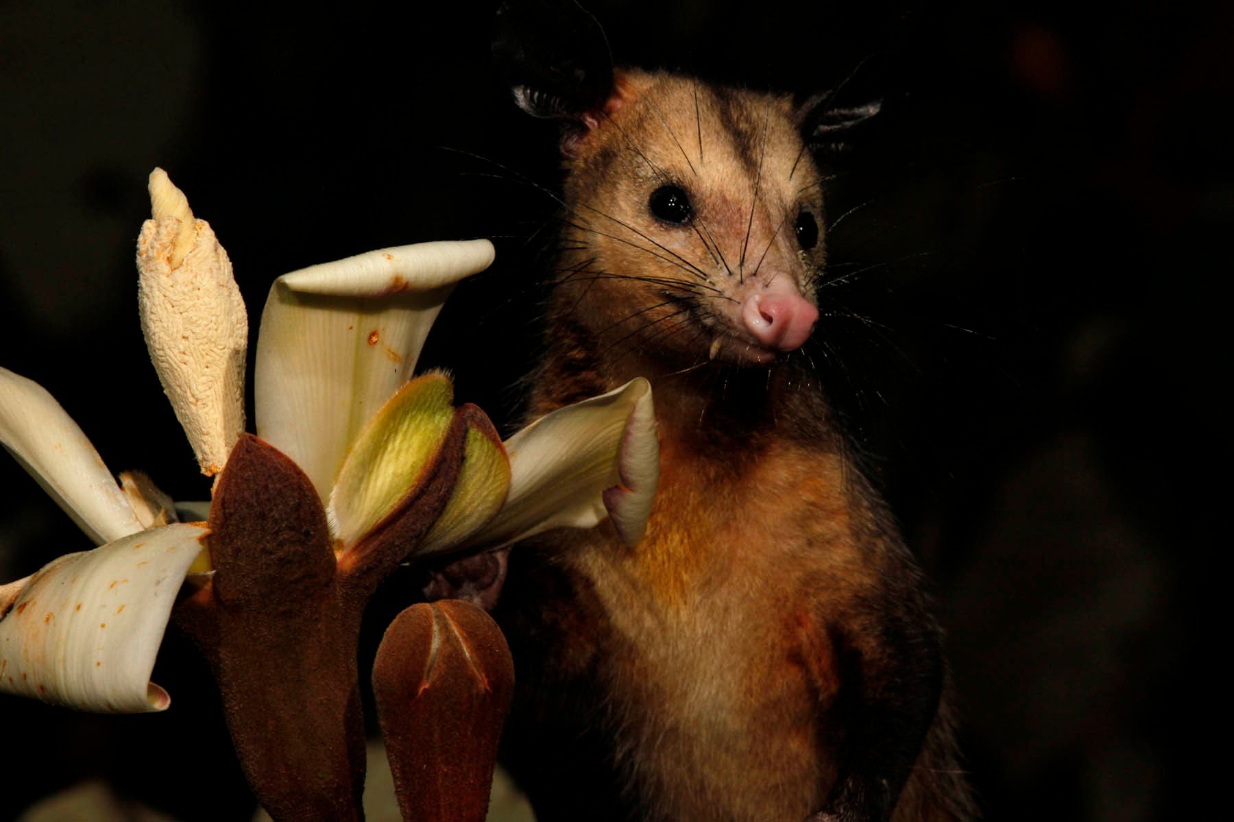 1mm7777_100125_17939