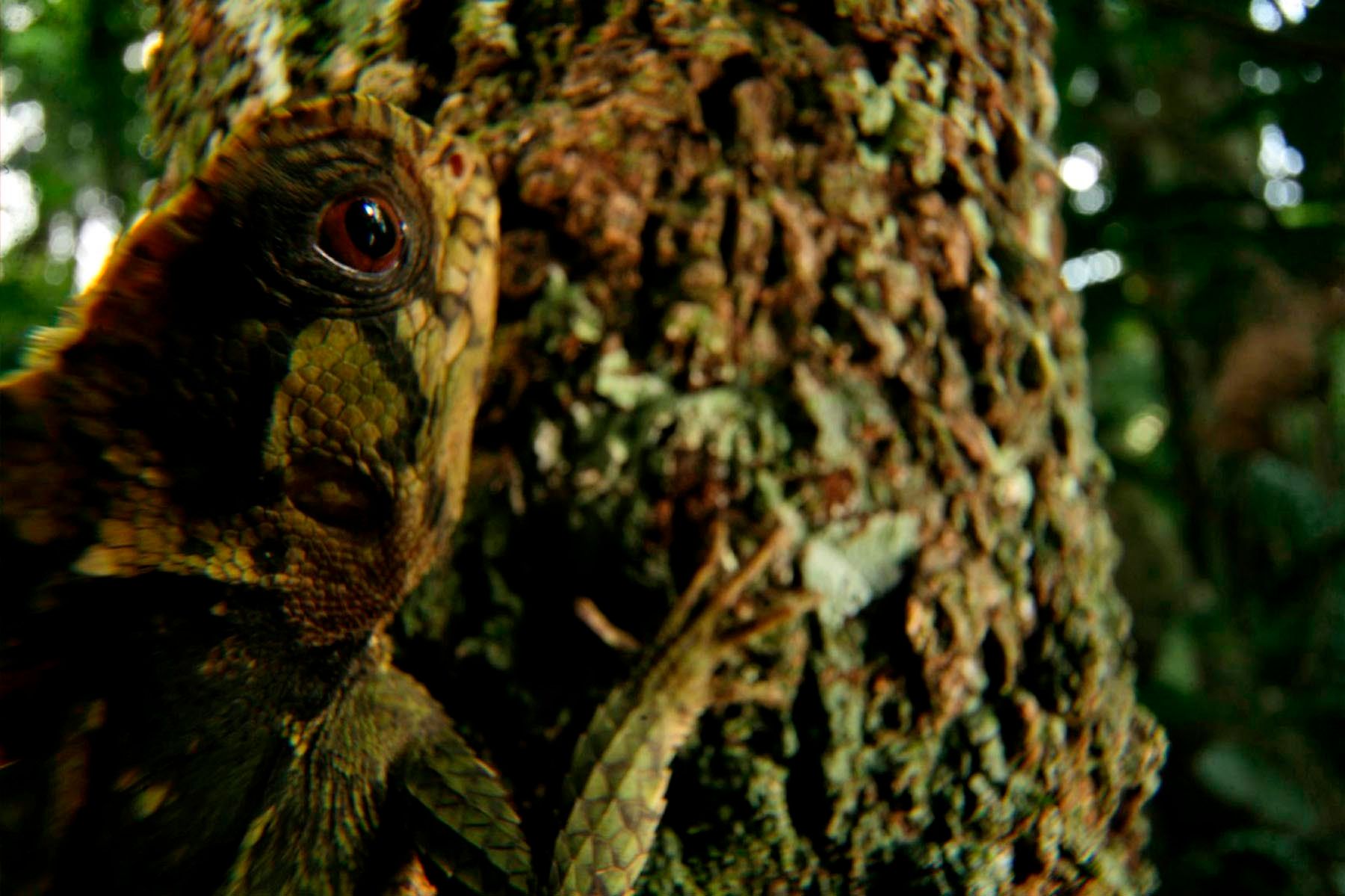 1r20_ziegler_christian20