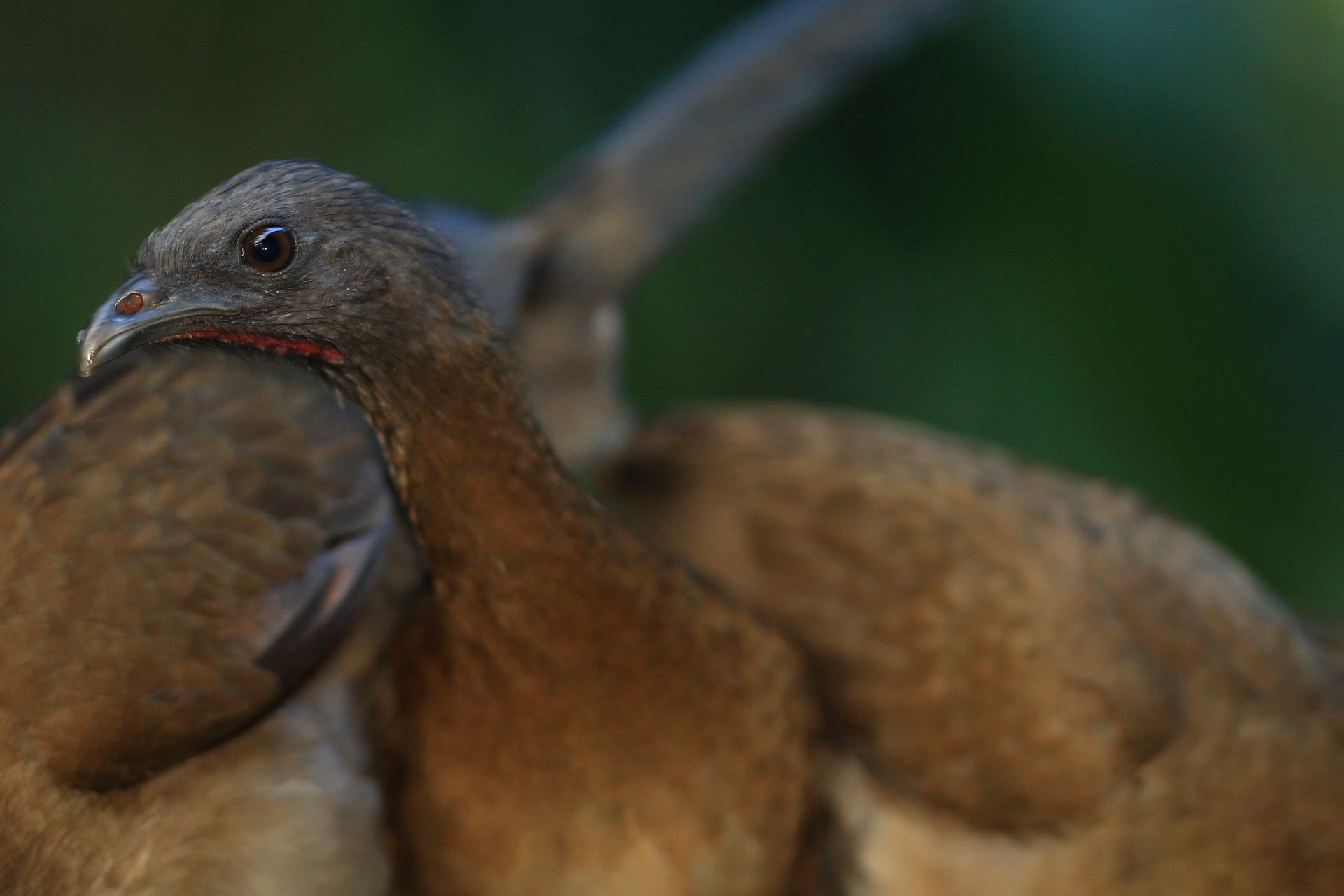 147-_H3V9722 copy.jpg