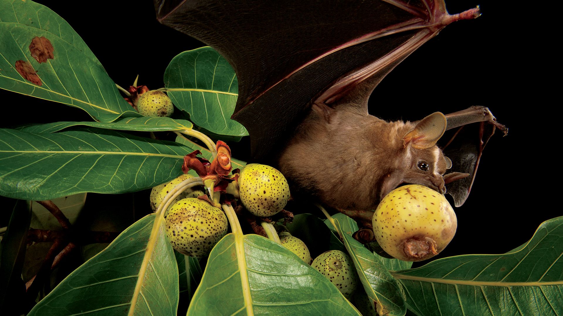 106_150_MM7355_060216_1059_41B copy.jpg