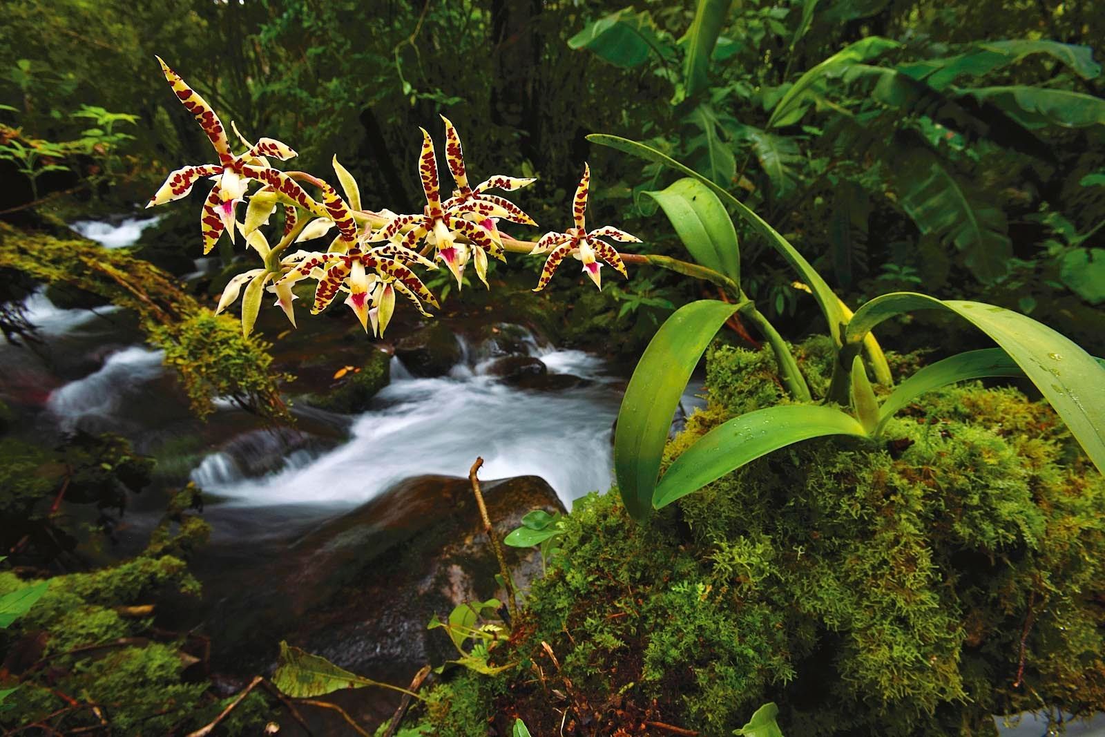 1r157_mm7607_080713_21646r3