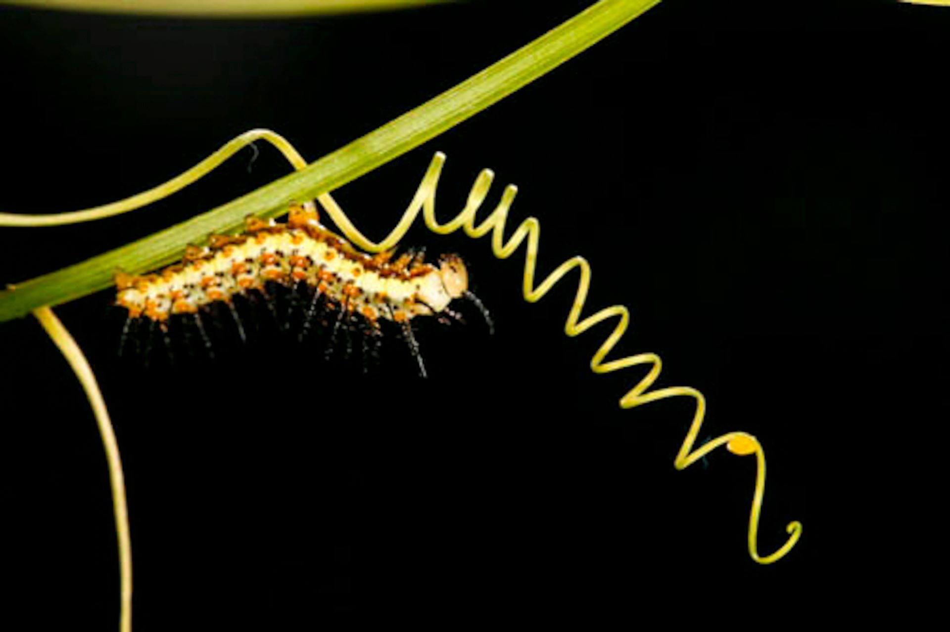 156-_ZI_3404 copy.jpg