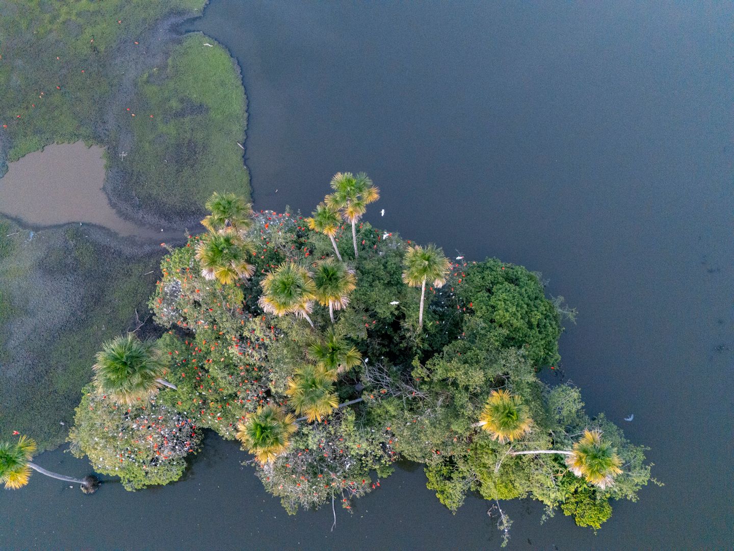 DJI_20250107174144_0114_D-100-113.jpg