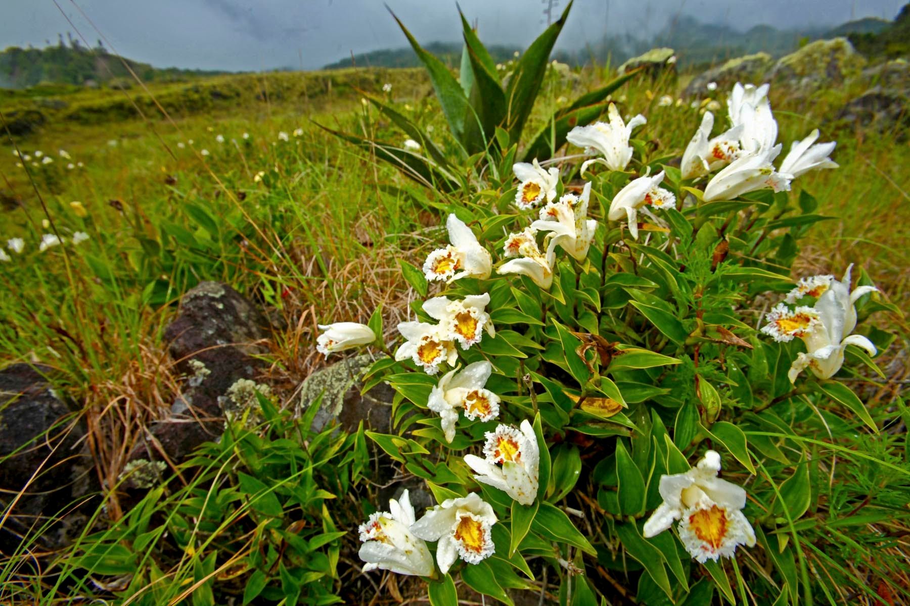 1mm7607_080713_21709