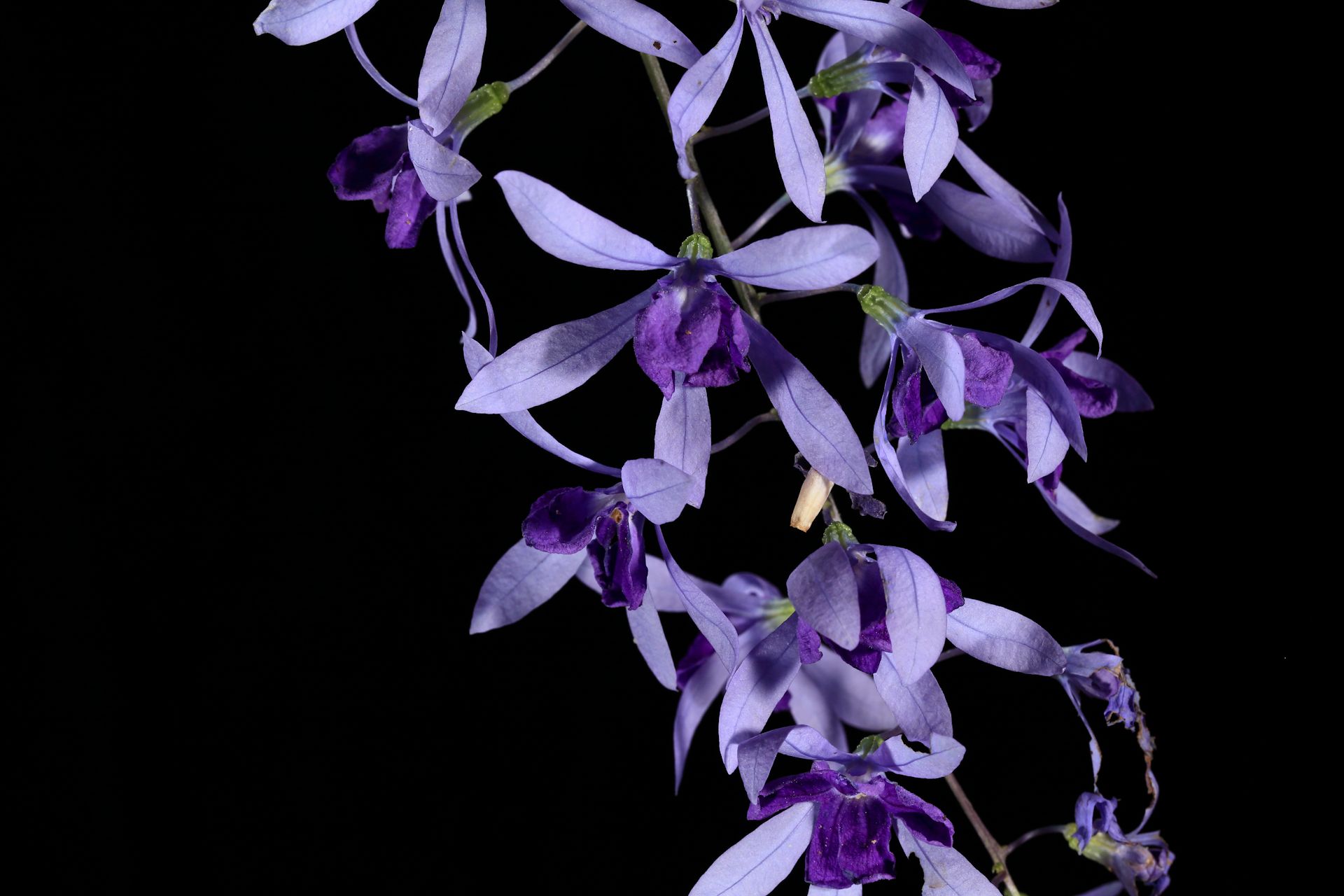 32-_MG_9384 copy.jpg