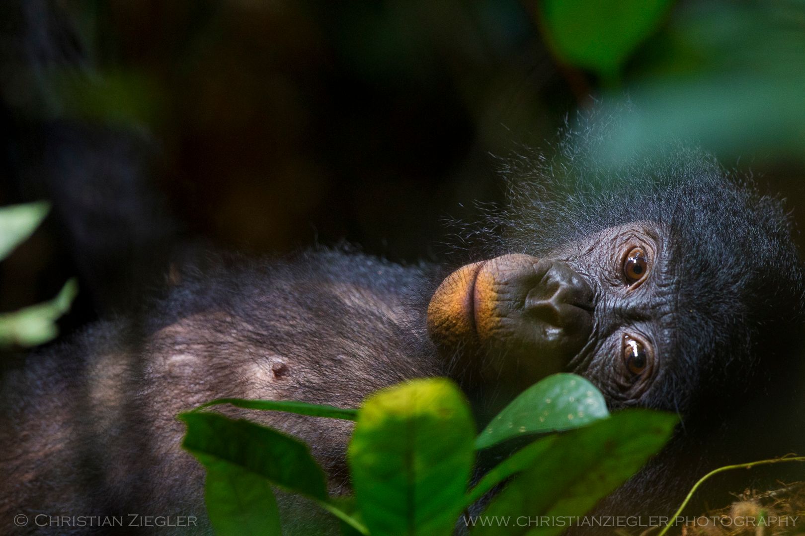 125_MM7994_110703_80312 copy 2-2.jpg