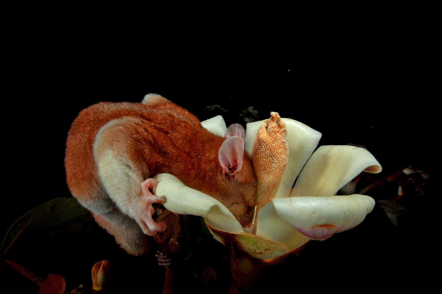 1mm7777_091226_07910