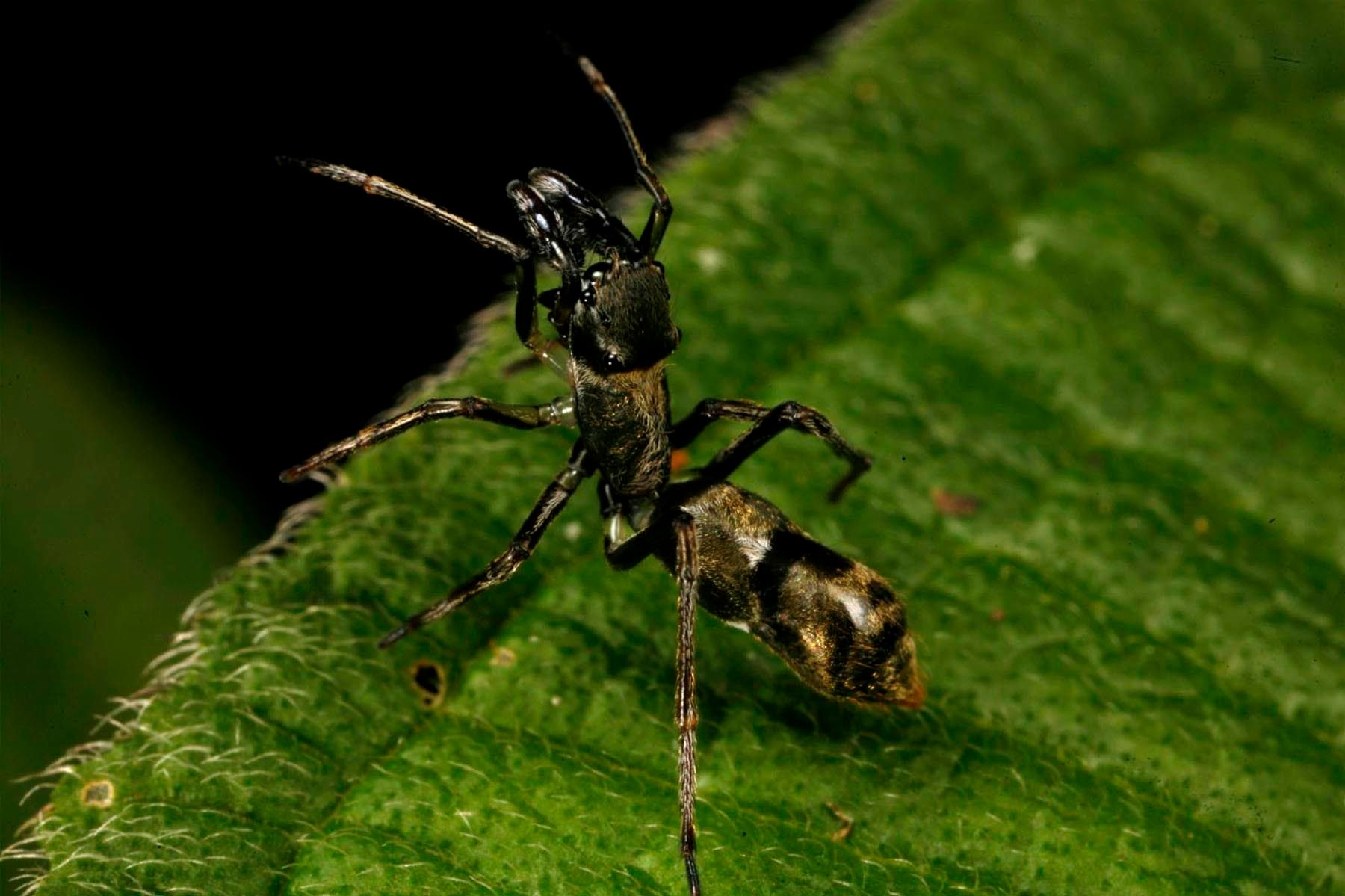 1r24_ziegler_christian24