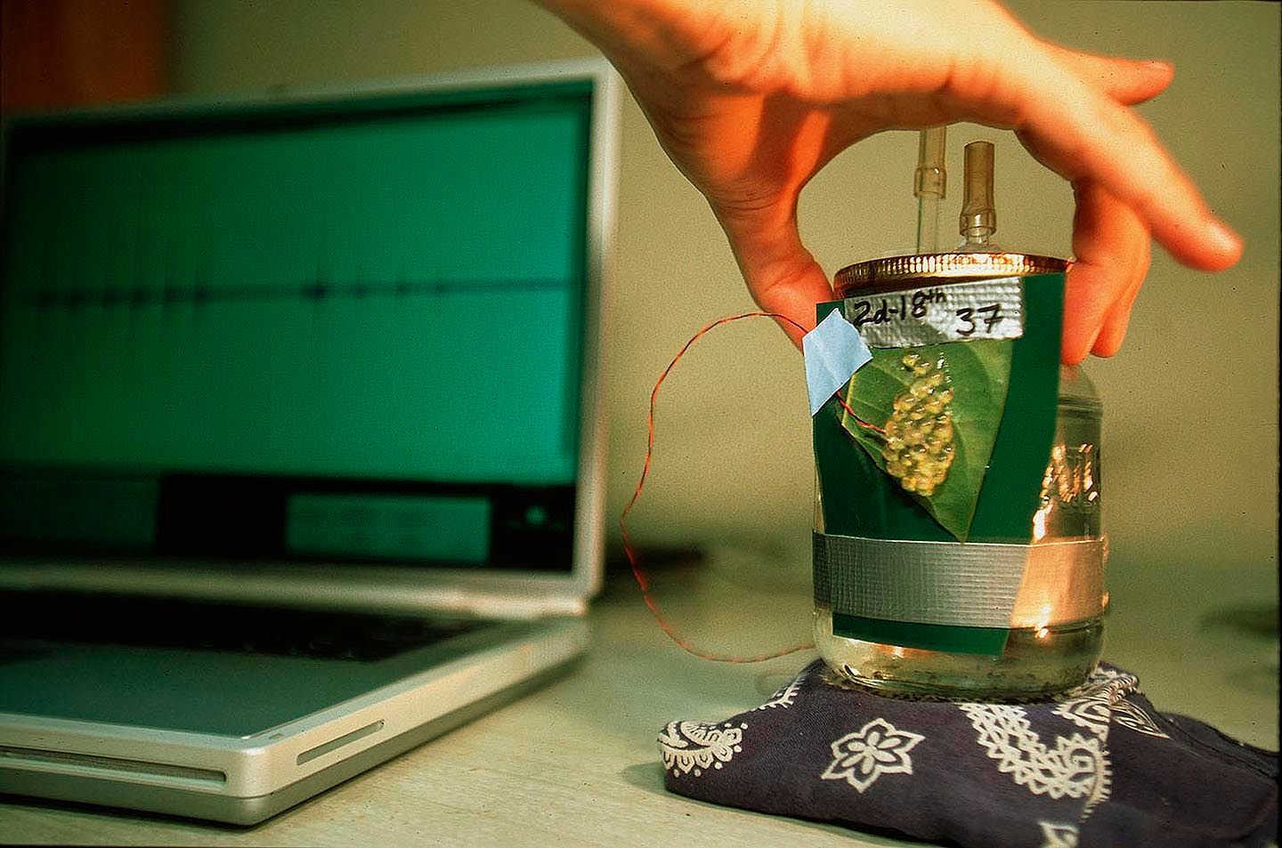 1r28_vibration_meassurement