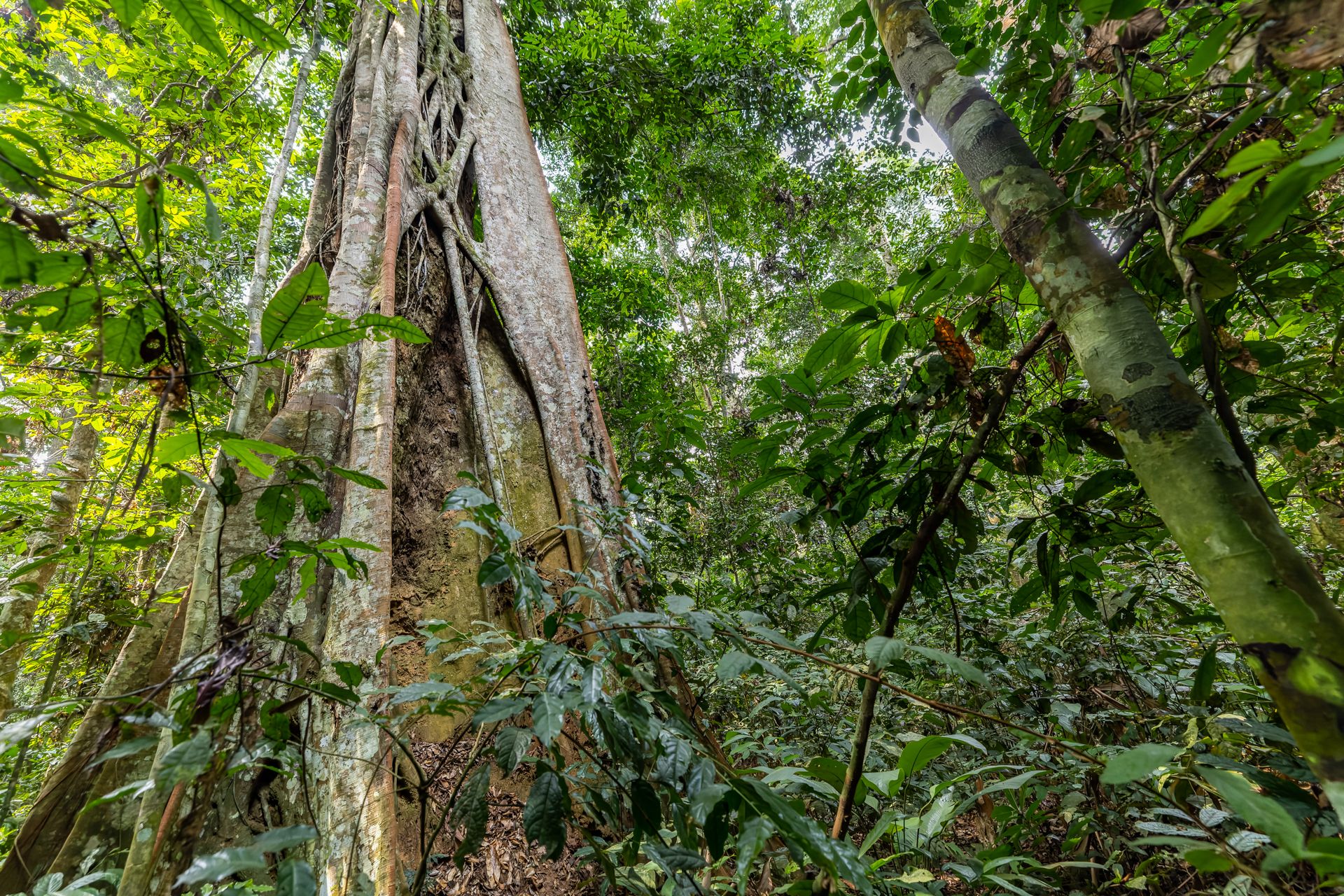 0B6A9519 2-CR3_DxO_DeepPRIME-2.jpg