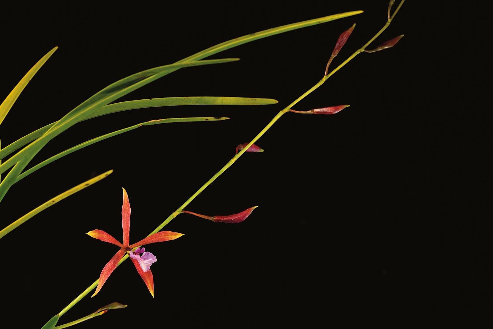 1mm7607_080303_09656r3