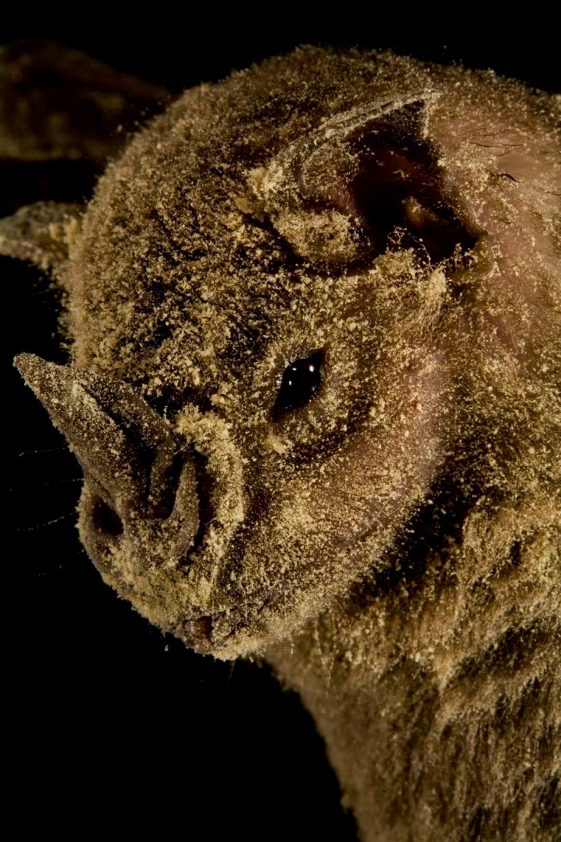 109_mm7355_060313_4502