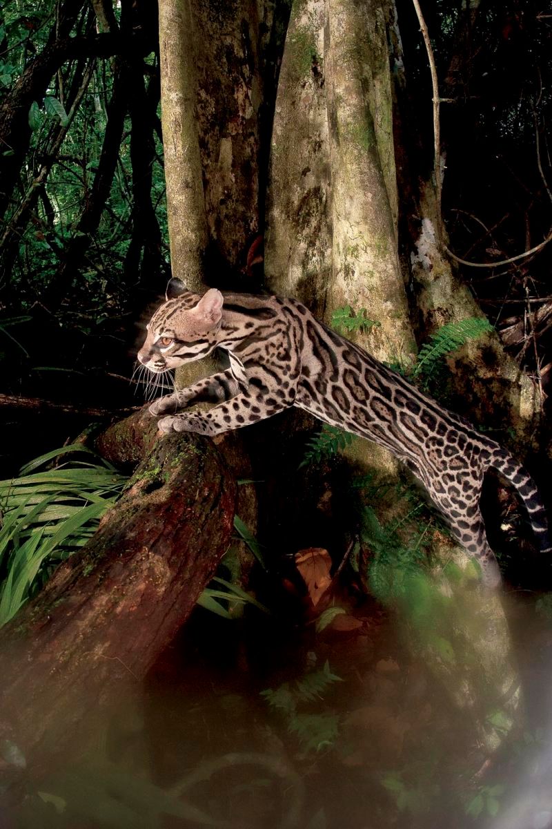 1r20_15b_crw_0150_41a