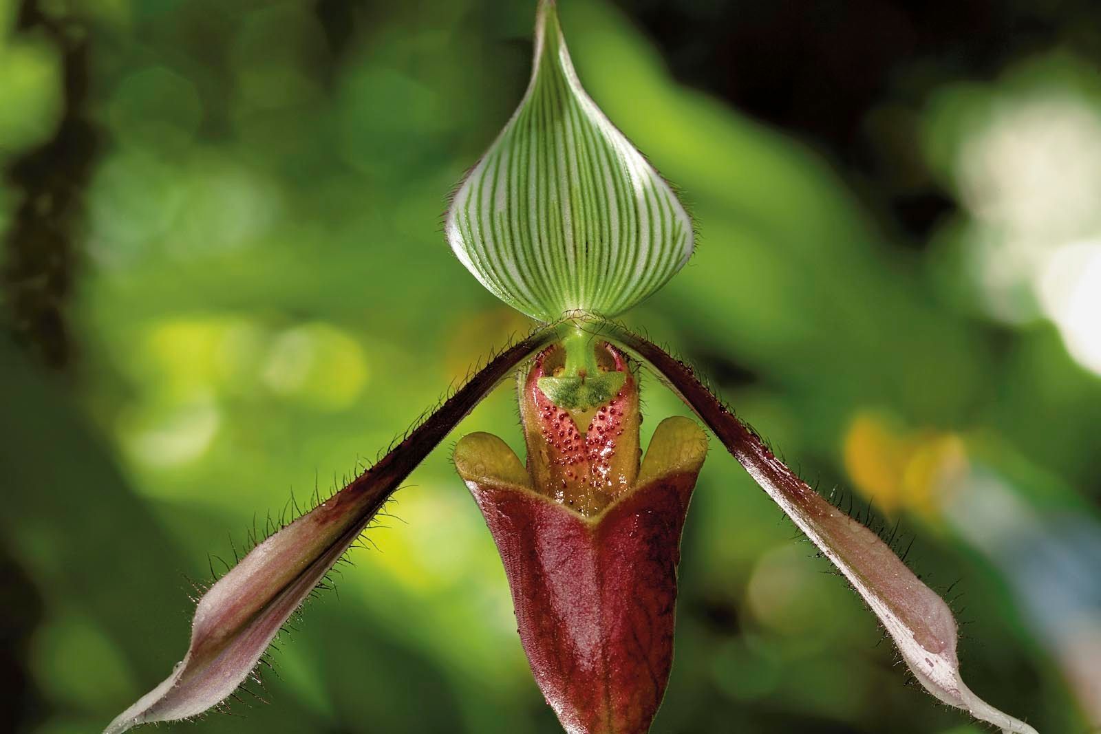 1mm7607_070813_03228r2