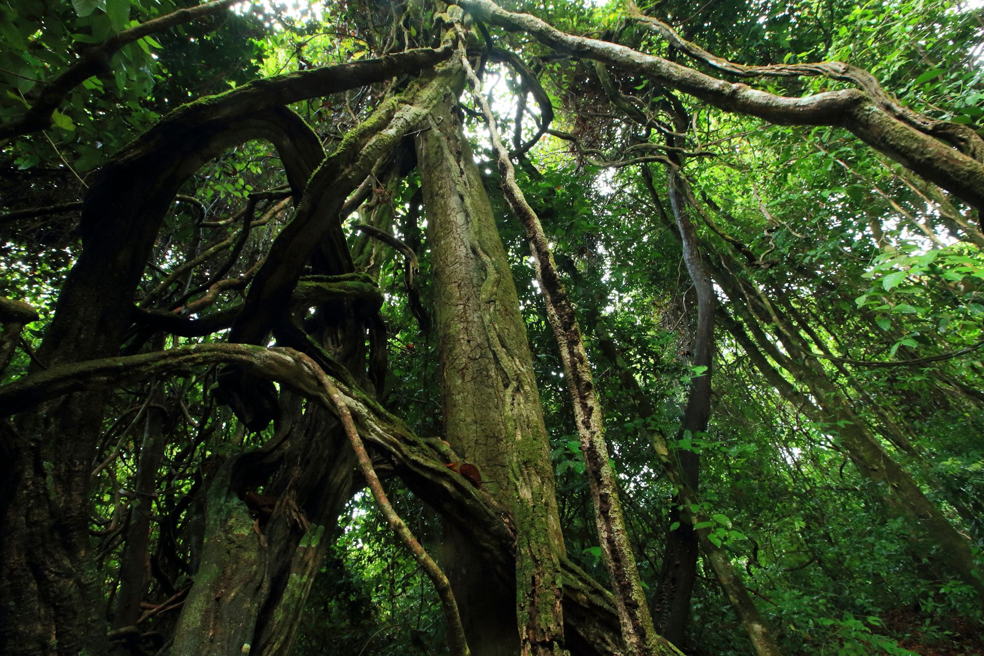 122-013__ZI_8982 copy.jpg