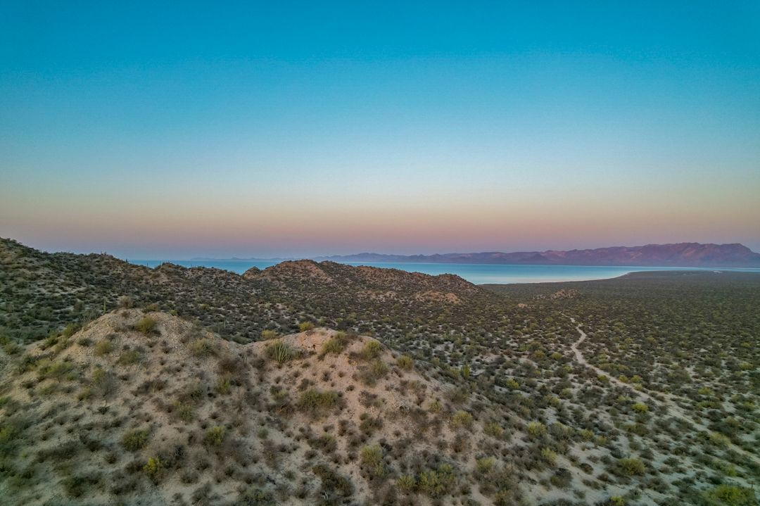 MM9826 _220425_003384-3-5.jpg