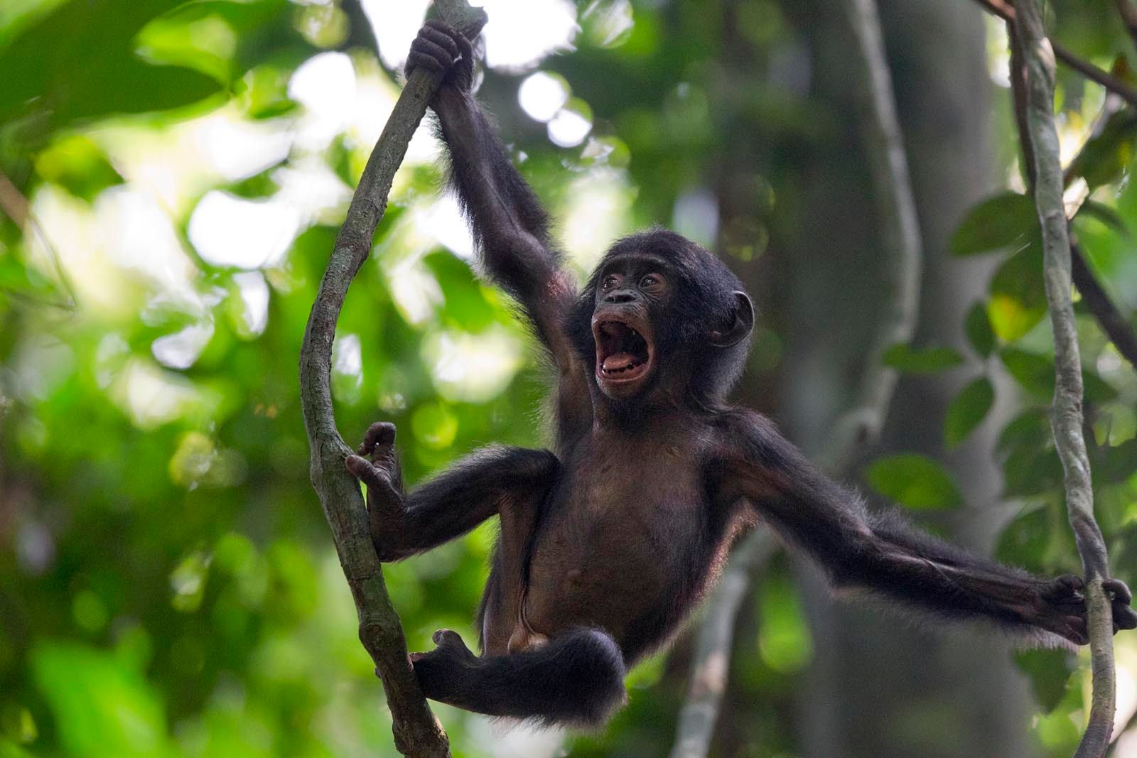 1r23_mm7994_110706_86774