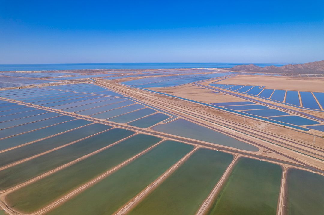 MM9826 _220426_004358-3-11.jpg