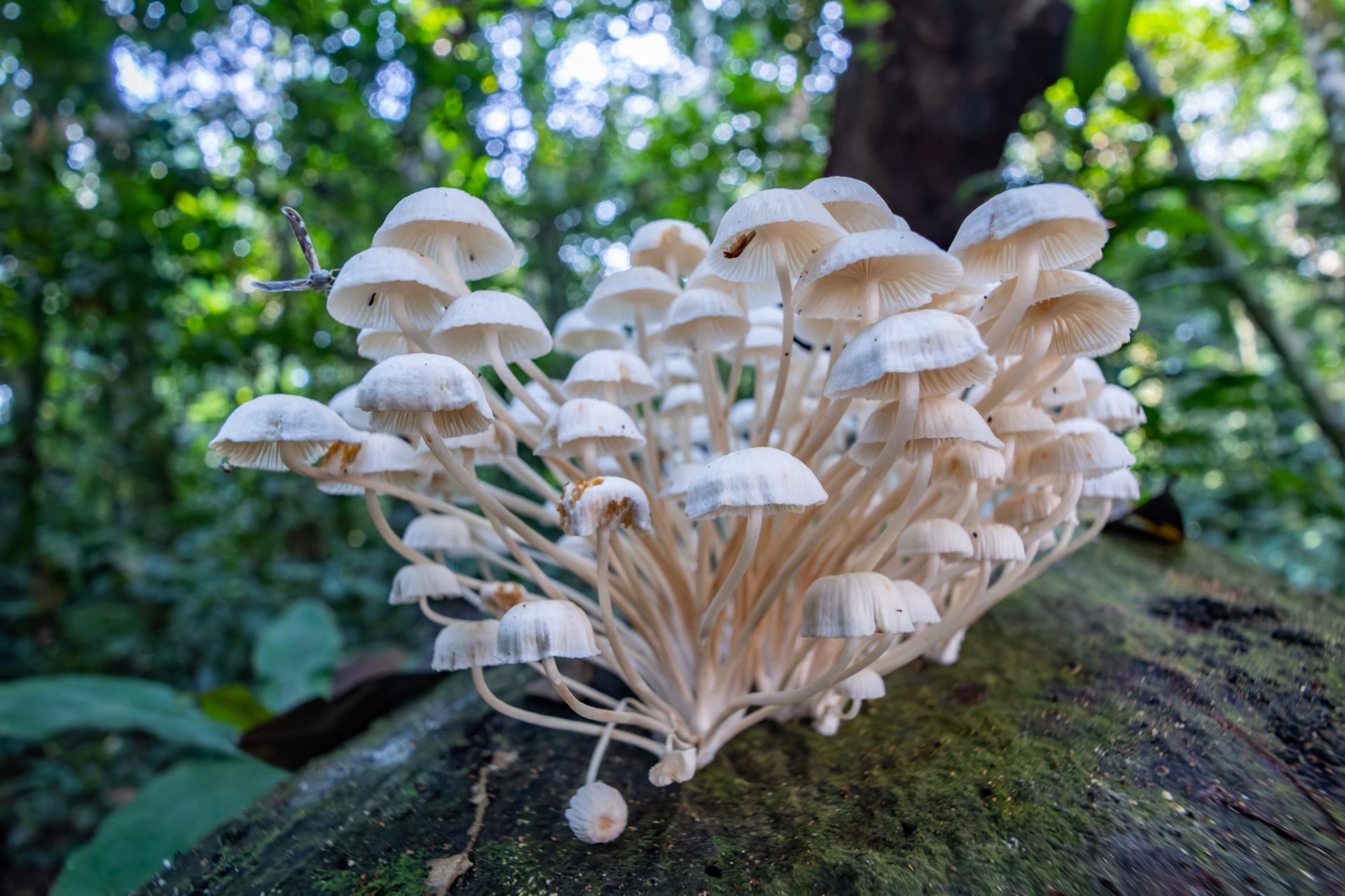 0B6A9353 2-CR3_DxO_DeepPRIME-2.jpg