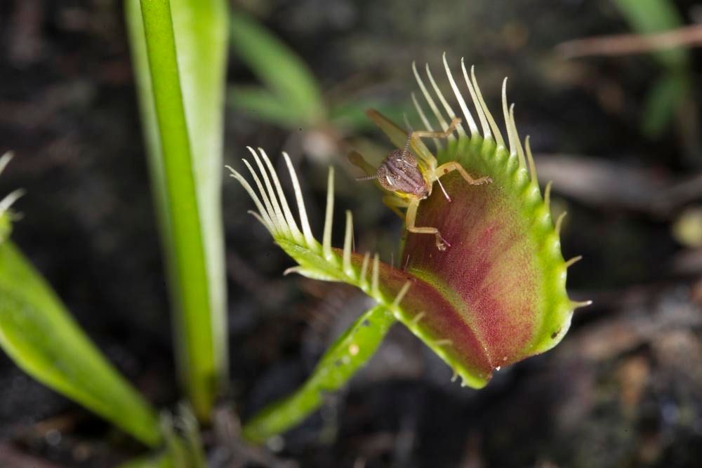 1r27_ncm13011_130605_1914