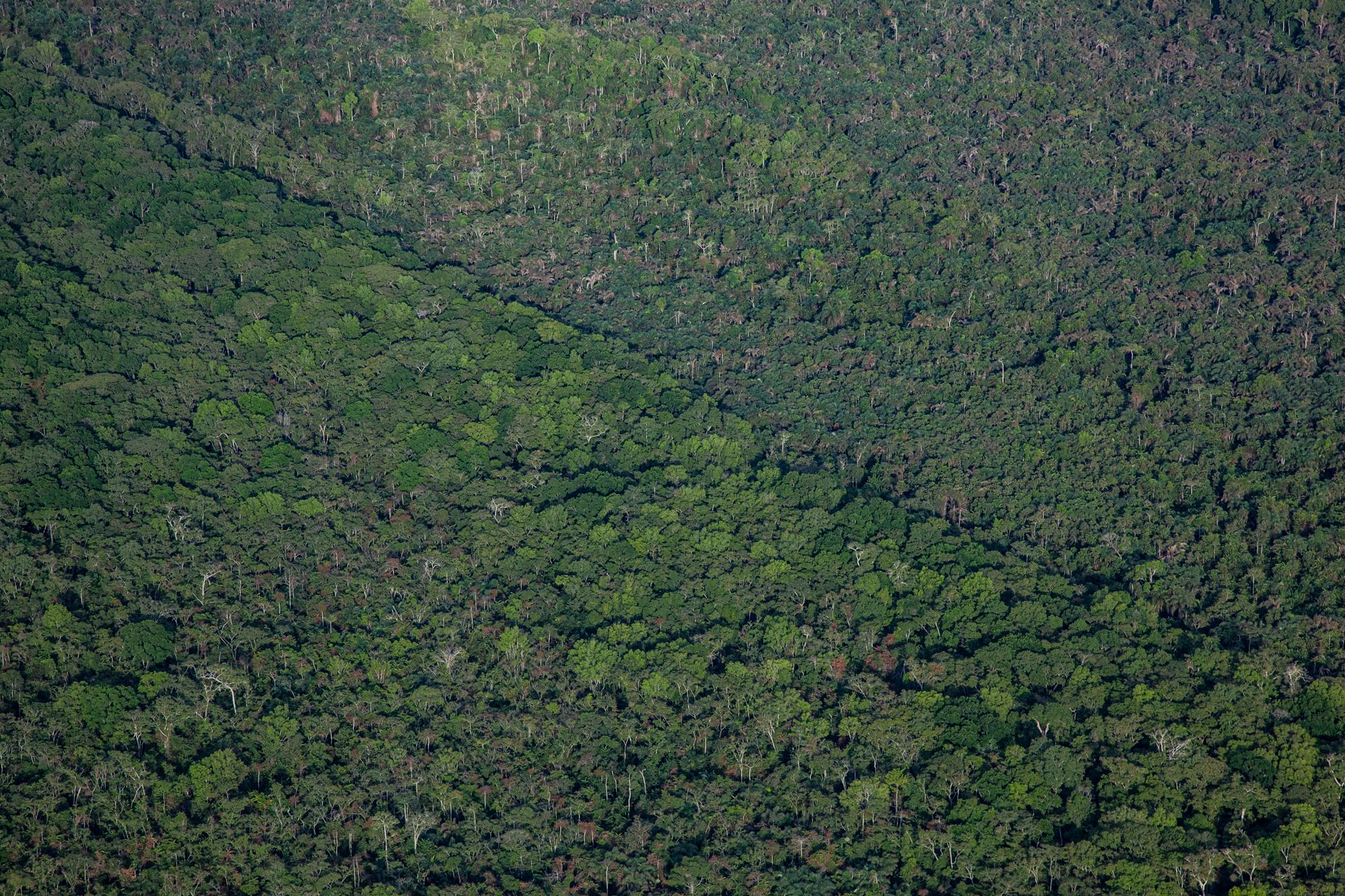 MM7994_111015_100923.jpg