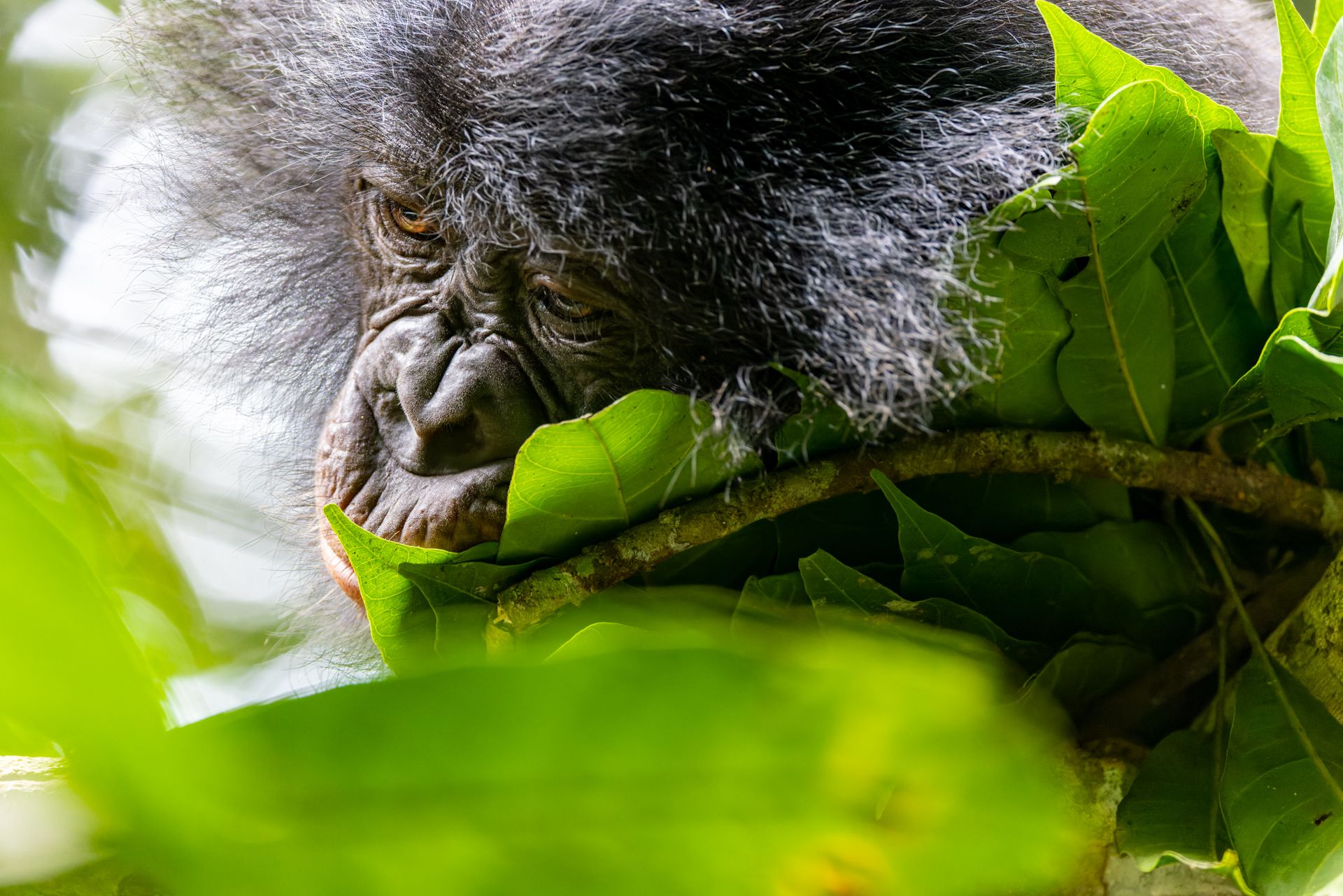 10-4Y1A8953-CR3_DxO_DeepPRIME copy 2.jpg