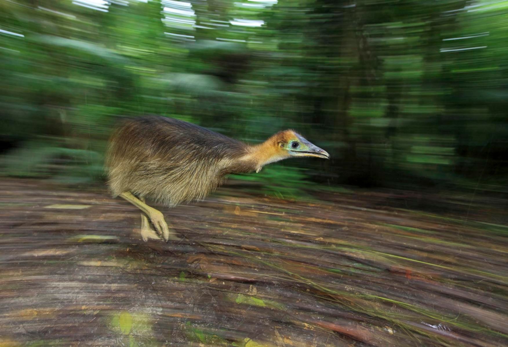 1mm7817_120531_10102c