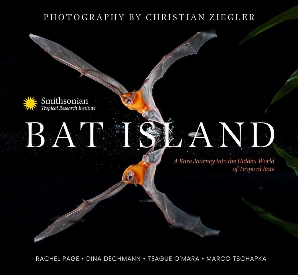 BAT ISLAND cover.jpeg