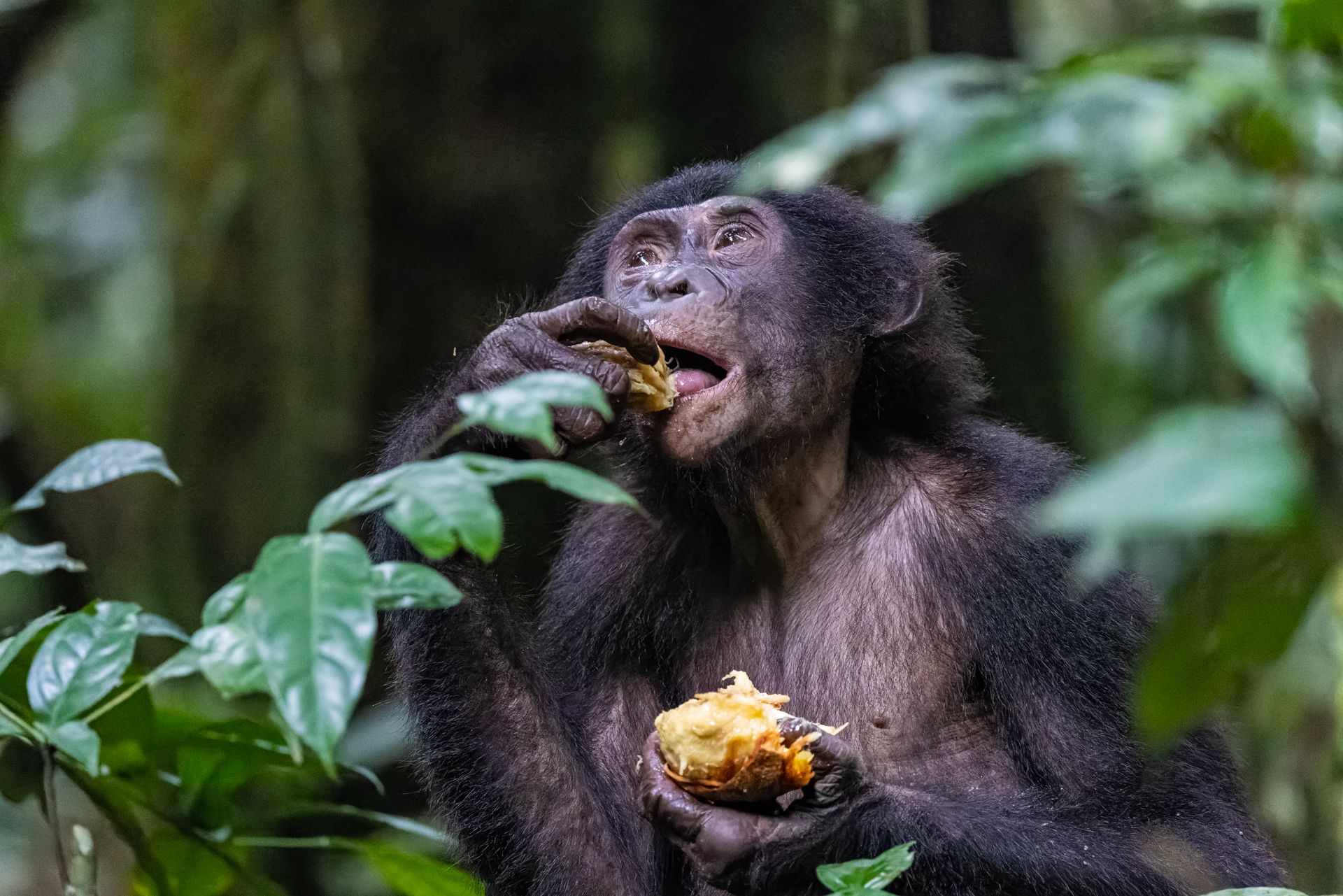 8-4Y1A9812-CR3_DxO_DeepPRIME copy 2.jpg