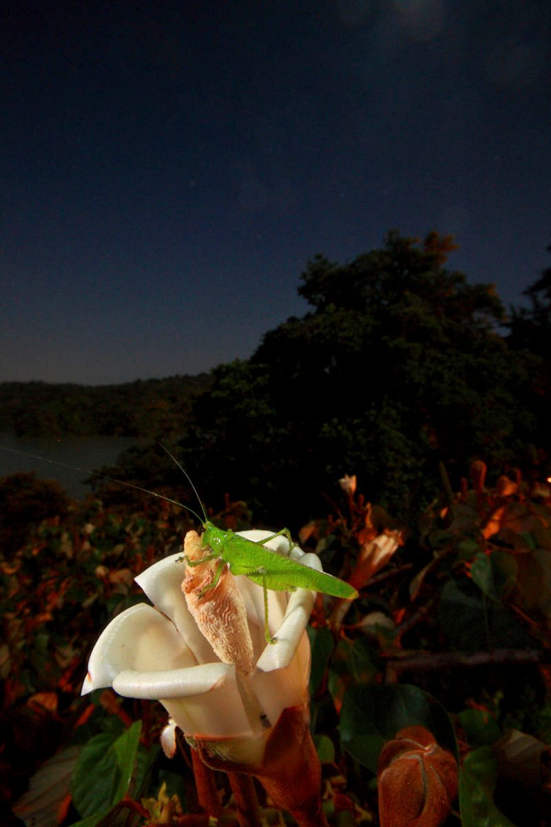 1r23mm7777_100129_34690