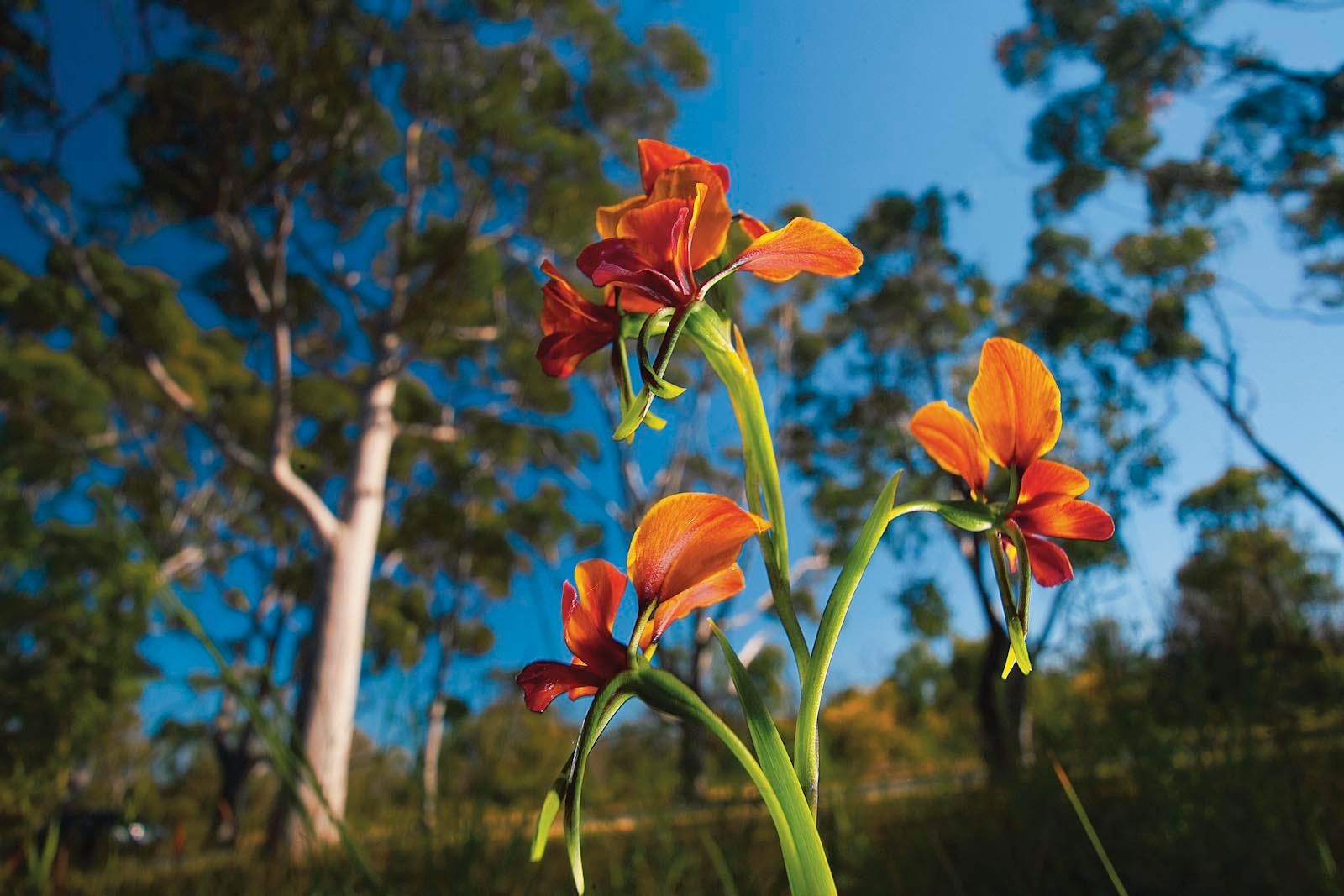 1mm7607_080909_23278r3