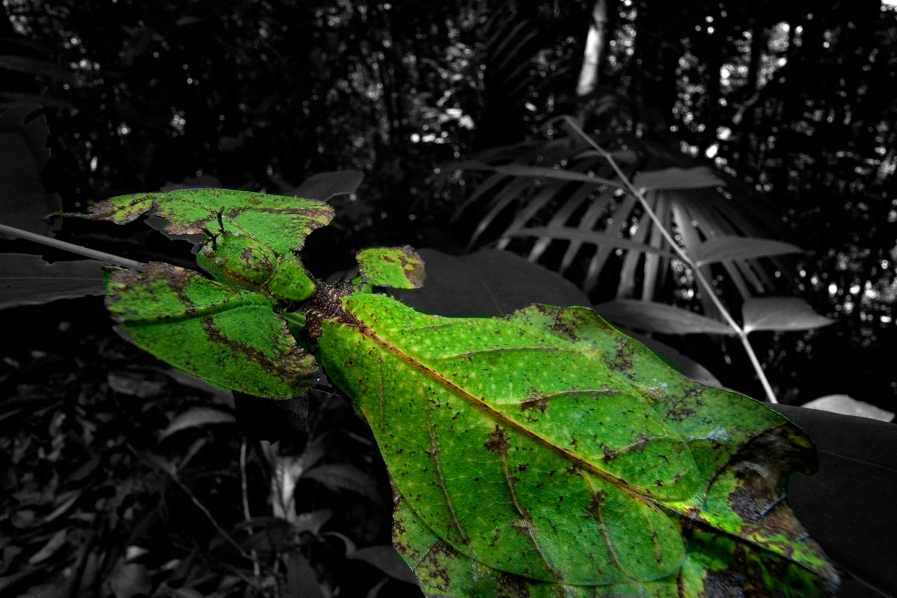 1r16_ziegler_christian16